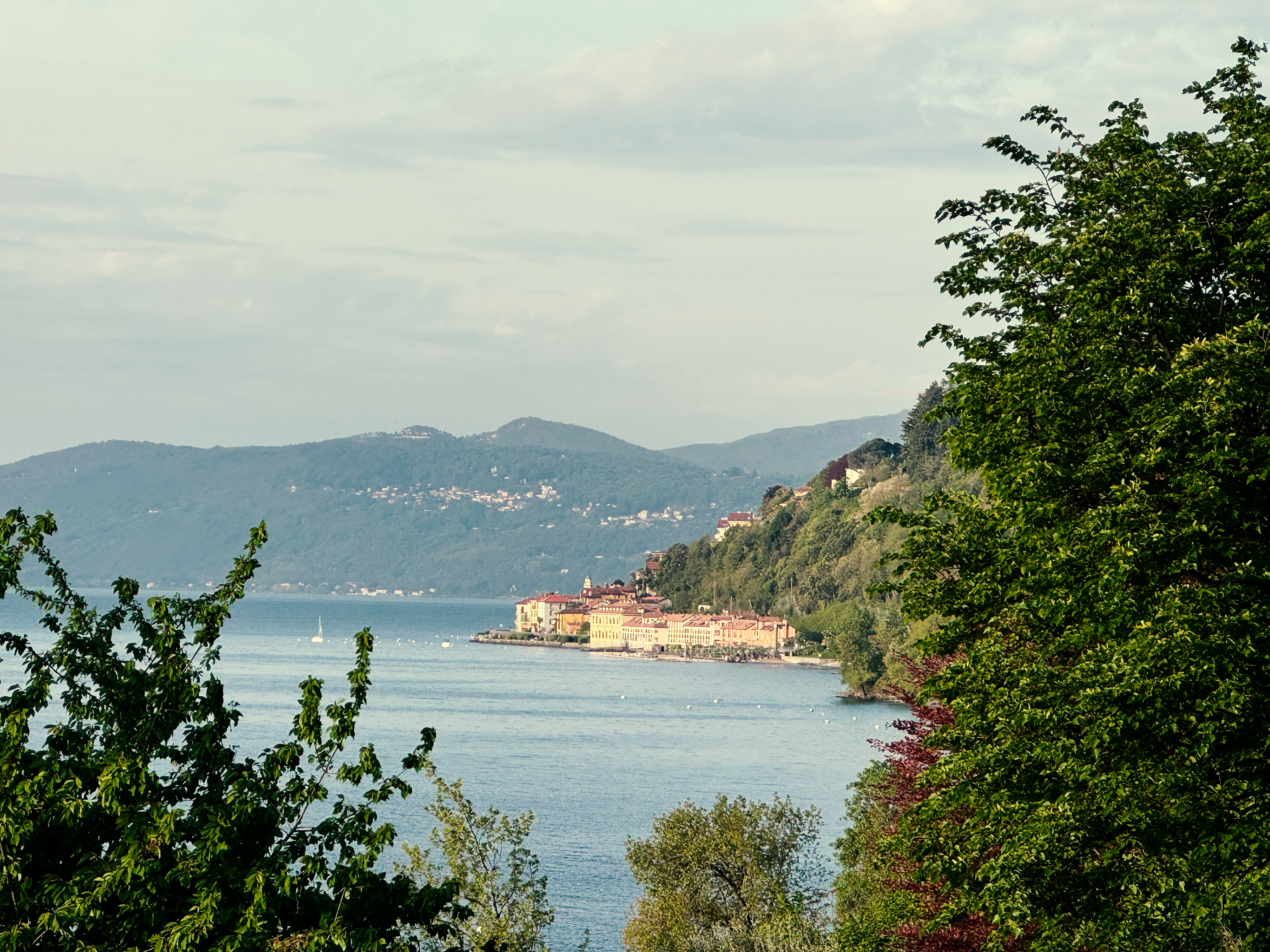 IMG_1164_ret